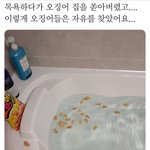 너네 <b>포크</b> 써?