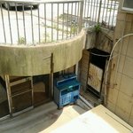 대학생 <b>MT</b>서 청부살인 추락사조작은폐주범이 교육부장관