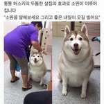 [댓글부탁해] <b>스펙타클</b>한 썰 좀 풀어줘