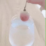 [모두드루와] 포도가 <b>찬물</b>에 닿았을 때.gif