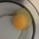 너네 계란 <b>슬러시</b> 볼래..??..??