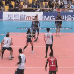 외국인들 개어이없다 진짜