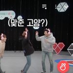 [EXO] 맞춘 <b>고양</b>?짤 세 개