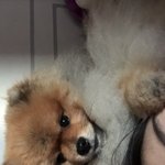 [댓글부탁해] 인스타<b>보정</b>법 어케하냐