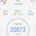 다이어트 여기다 기록함
