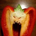 [드루와] 나만 <b>비요</b>뜨 별로임??