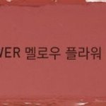 [댓글부탁해] <b>여</b><b>쿨</b>인데 이 립 어울릴까 ?̆̈?̆̈?̆̈?̆̈