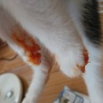 [댓글부탁해] 근데 <b>수한</b>이랑 예빈이