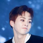 [EXO] 엑소 투표 안 해 줄 고야..?