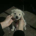 스카이캐슬 정주행중인데