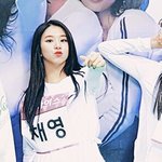 [드루와] 트와이스 비율 오진다