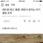 [귀엽] 페트병 베고 '쿨쿨'..해변서 잠자는 아기물범 <b>포착</b>