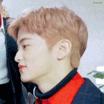 <b>입생</b> 추반좀