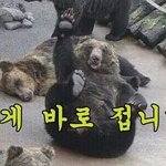 <b>겨울잠</b>