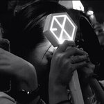 [EXO] 동생,엄마 계정도파서 투표함