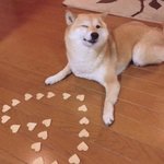 <b>발표</b>가 무섭다니
