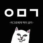 [방탄소년단] 여기 ㅇㄱㄹ들 왔다 먹금해