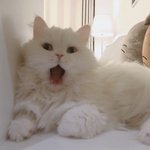[드루와] 화장개초보는 뭐 <b>부터</b> 시작해야할까..