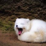 과 <b>톡방</b> 들어갈까 말까?