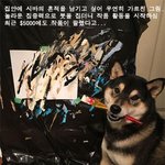 <b>작품</b> <b>활동</b> 시작한 화가 시바견