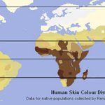 한국인들이 피부가 좋은 이유.jpg