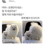 [댓글부탁해] 야 <b>나스</b> 립샀는데..ㅠㅠㅠ