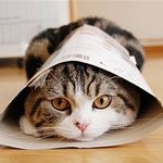 [댓글부탁해] 20191월일일신정 <b>전쟁남</b>진짜빛삭