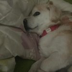 [댓글부탁해] 난 돈도 개많이 벌거고 연애<b>복도</b> 조카 터질거다 하는