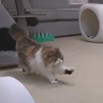 [댓글부탁해] 님들아 <b>헬로</b>톡 있자너