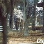 엑소엘이 본 2019년 <b>1</b>월 <b>1</b>일 열애설