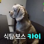 [EXO] 제니 옆에서 밥먹는 카이.<b>jpg</b>