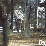 [EXO] 야 근데 너무 조심성없다