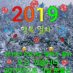 <b>신입</b>입니다