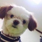 <b>화</b><b>알</b>못인데 추천좀해줘ㅠㅠ