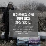 홀로 유기<b>동물</b>을 돌보고 계시는 할머니네에 힘을