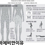 [드루와] 나 재작년에 겁나 통통했었다ㅋㅋ