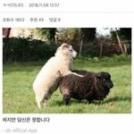 <b>양도</b>합니다