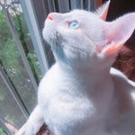 <b>보물섬</b>한테디엠 답장박앗다..ㅠㅠㅠㅠㅜ