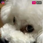 [세훈] 190101 훈스타라이브 <b>캡쳐</b>