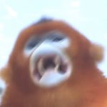 [댓글부탁해] 남들은 다 <b>해</b>봤는데 <b>난</b> 안<b>해</b>본 거 뭐 있음