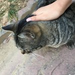 [드루와] 친구 울때 이거 ㄹㅇ 별로