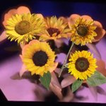 [<b>꼬랑</b>단] <b>꼬랑</b>단의 2019년 소원