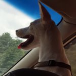 [조언부탁해] <b>여백</b> 많은 얼굴에