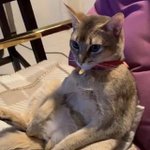 [강다니엘] 강다니엘 공식인별 프사 ㅋㅋㅋㅋㅋ