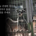 <b>매순간</b>이 소중한 유기동물들을 지킬 수 있도록