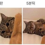 얘들아 ㅈㅂ 조언좀 ㅠㅠㅠ고등학교 <b>신설</b>
