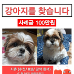 [도와주세요] <b>화랑</b>유원지에서 잃어버렸어요.