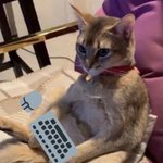 [강다니엘] 강다니엘 인별에 루피오짱 사진 안올라오는 이유.<b>jpg</b>