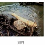 [드루와] <b>보세</b> 숏패딩 사는거 ㅇㄸ?