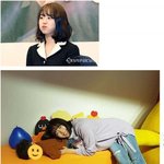 [댓글부탁해] <b>청하</b> 다음으로 잘나가는 프로듀스 출신
